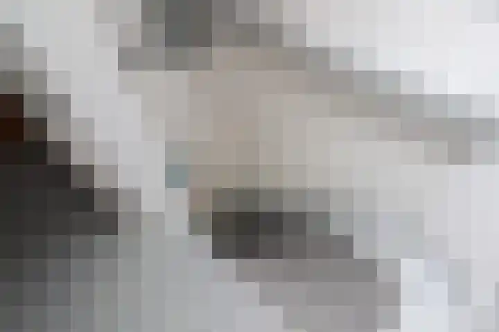 P.Walmastrjitte 23 Oppenhuizen thumbnail 45