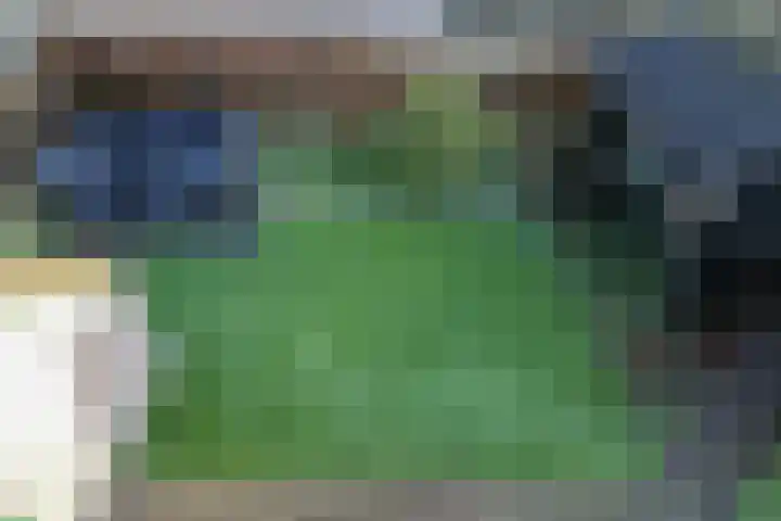 P.Walmastrjitte 23 Oppenhuizen thumbnail 50