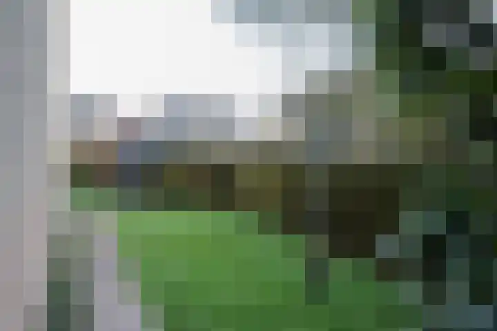 P.Walmastrjitte 23 Oppenhuizen thumbnail 51