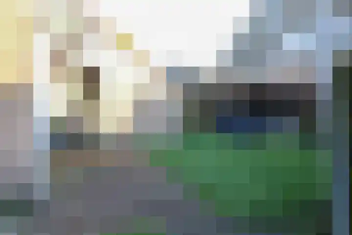 P.Walmastrjitte 23 Oppenhuizen thumbnail 54