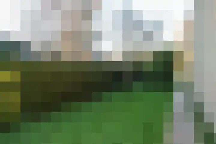 P.Walmastrjitte 23 Oppenhuizen thumbnail 60