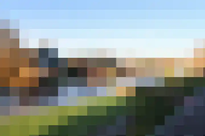 P.Walmastrjitte 23 Oppenhuizen thumbnail 62