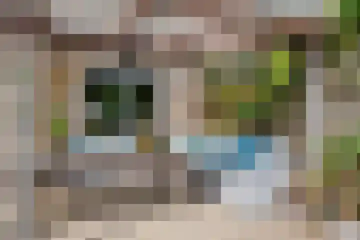 P. Westdorpstraat 8 Tiel thumbnail 23