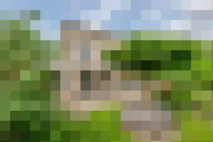 P. Westdorpstraat 8 Tiel thumbnail 24