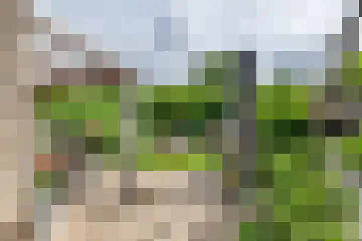 P. Westdorpstraat 8 Tiel thumbnail 26