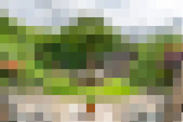 P. Westdorpstraat 8 Tiel thumbnail 28