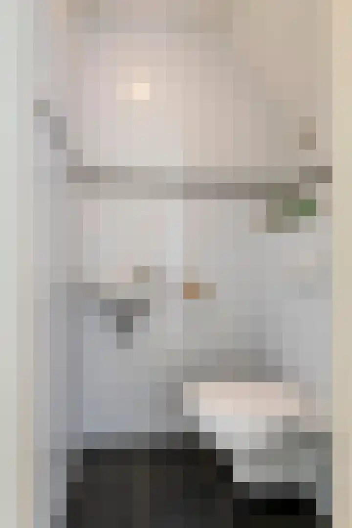 P. Westdorpstraat 8 Tiel thumbnail 31