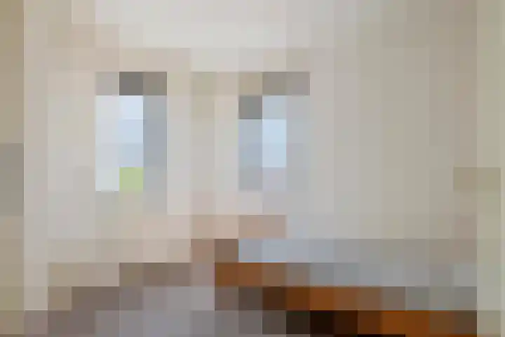 P. Westdorpstraat 8 Tiel thumbnail 34