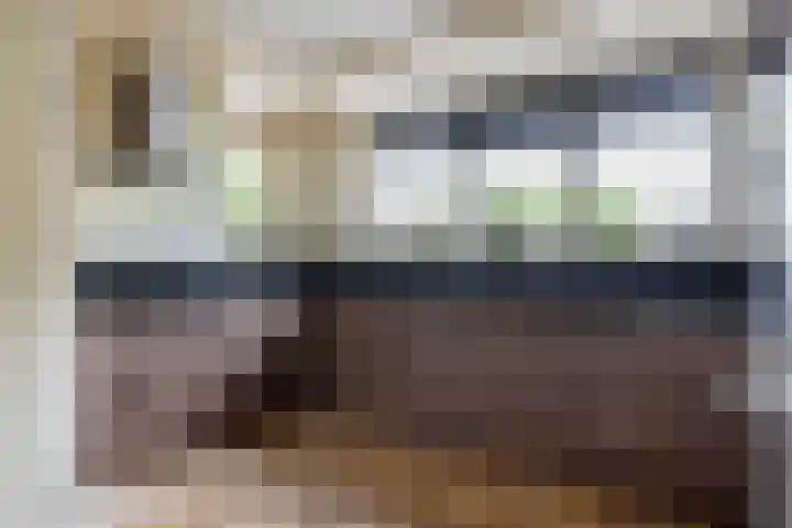 P. Westdorpstraat 8 Tiel thumbnail 4