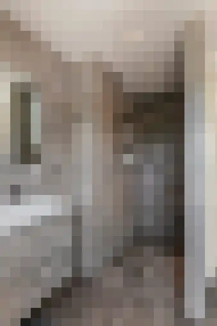 P. Westdorpstraat 8 Tiel thumbnail 41
