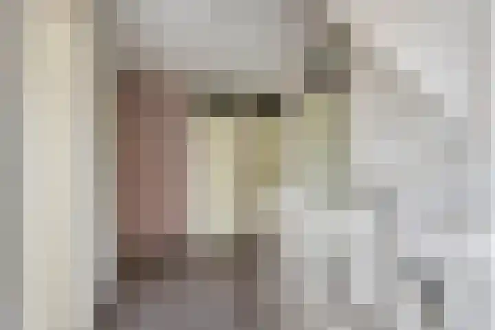 P. Westdorpstraat 8 Tiel thumbnail 46