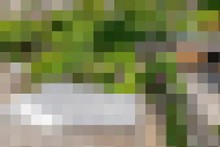 P. Westdorpstraat 8 Tiel thumbnail 51