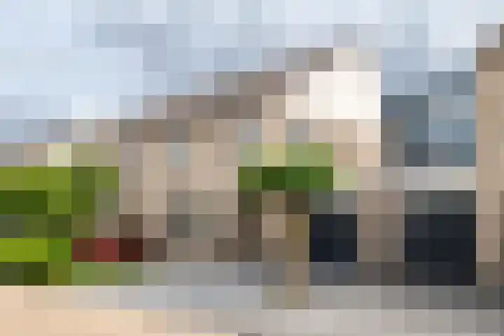 P. Westdorpstraat 8 Tiel thumbnail 57