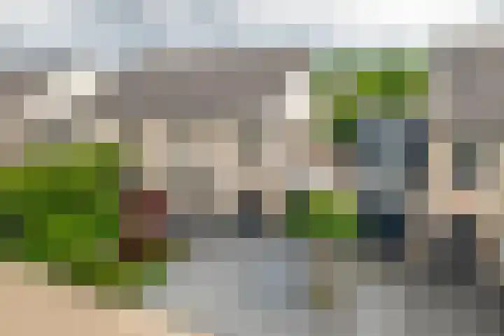 P. Westdorpstraat 8 Tiel thumbnail 58