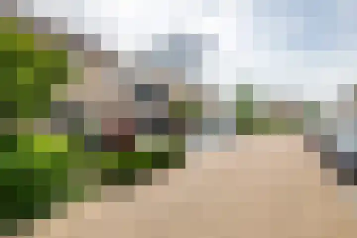 P. Westdorpstraat 8 Tiel thumbnail 59