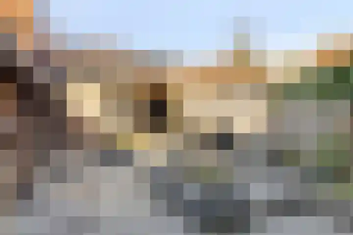 P. Wierengaweg 20 Haren Gn thumbnail 4