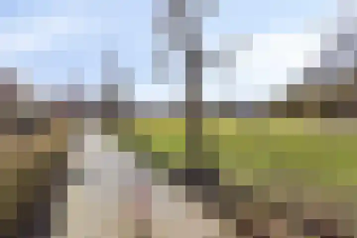 P. Wierengaweg 20 Haren Gn thumbnail 49