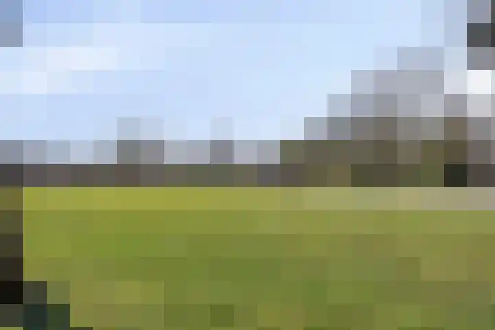 P. Wierengaweg 20 Haren Gn thumbnail 51