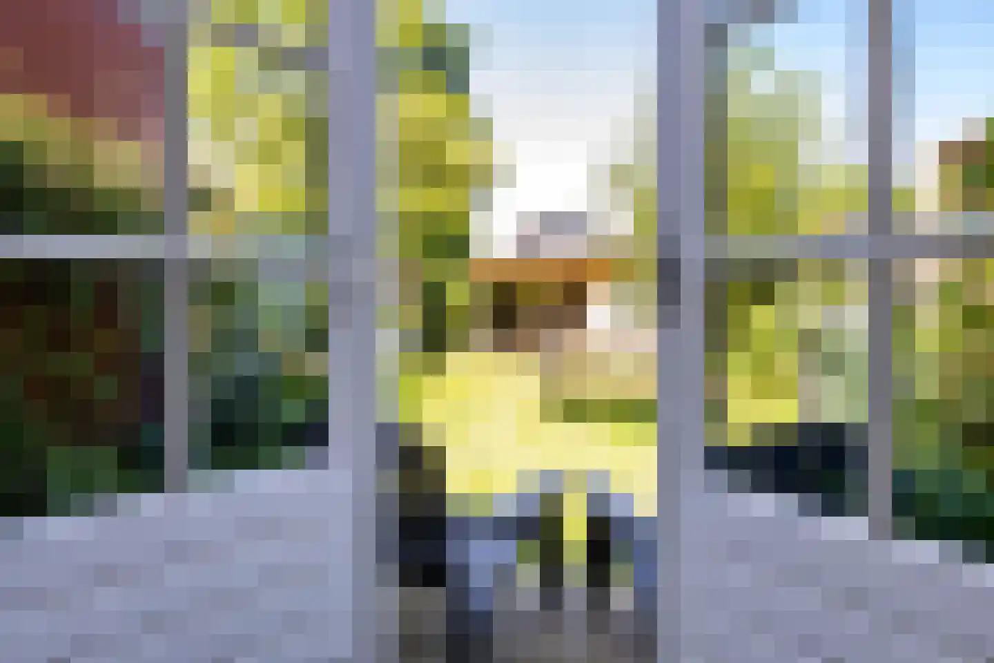 P. Wierengaweg 28 Haren Gn thumbnail 18