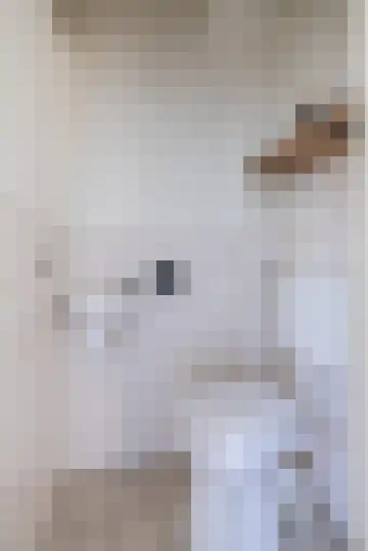 P. Wijbengastrjitte 10 Wergea thumbnail 12