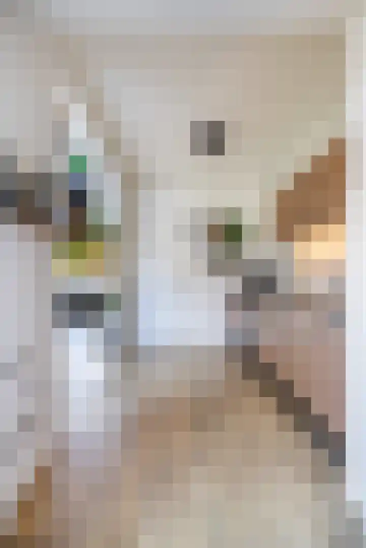 P. Wijbengastrjitte 10 Wergea thumbnail 23