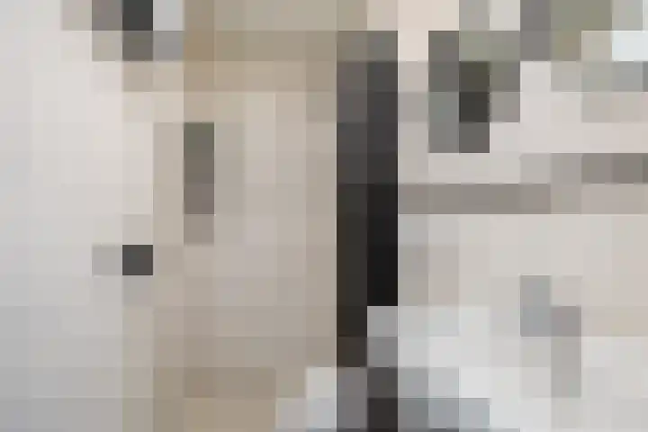 P. Wijbengastrjitte 10 Wergea thumbnail 33