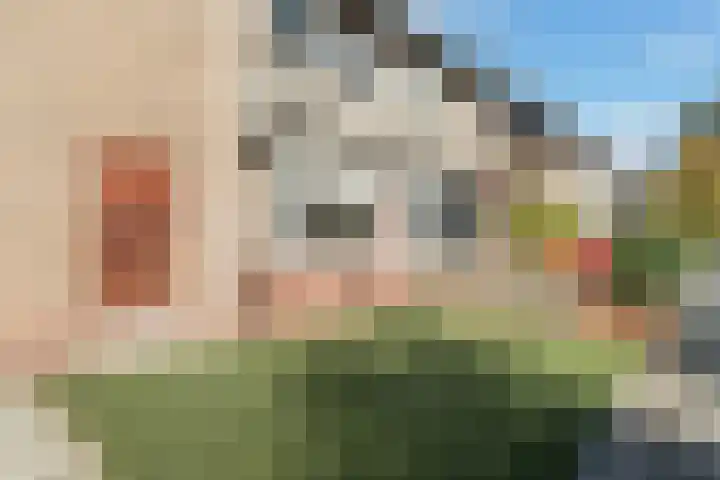 P. Zeemanstraat 19 Zwijndrecht thumbnail 7