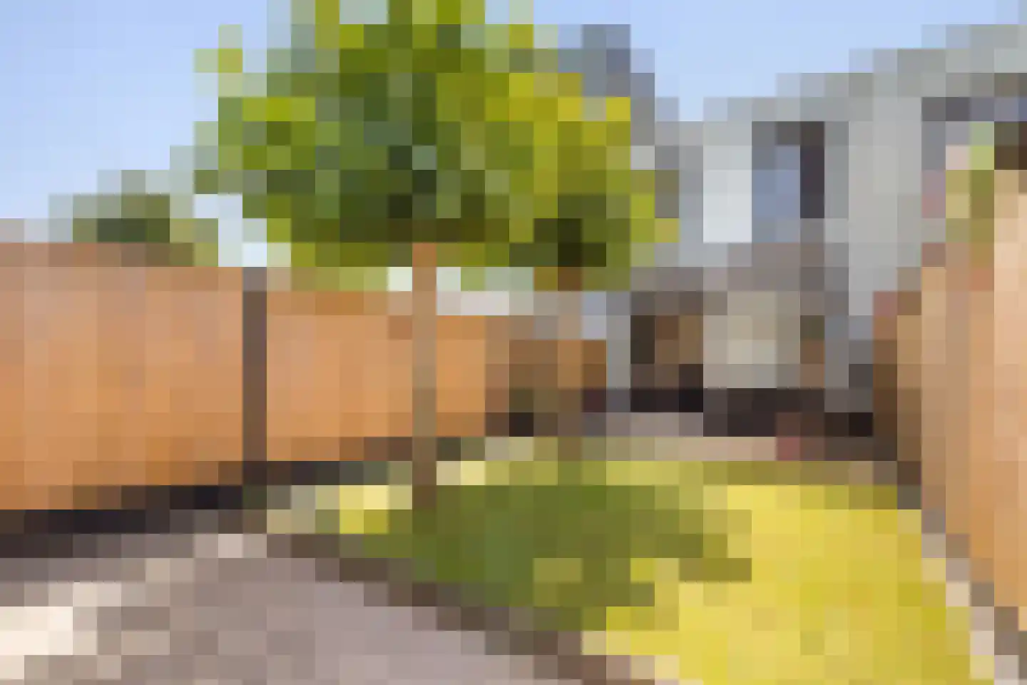 Pa Pinkelmanstraat 17 Almere thumbnail 31