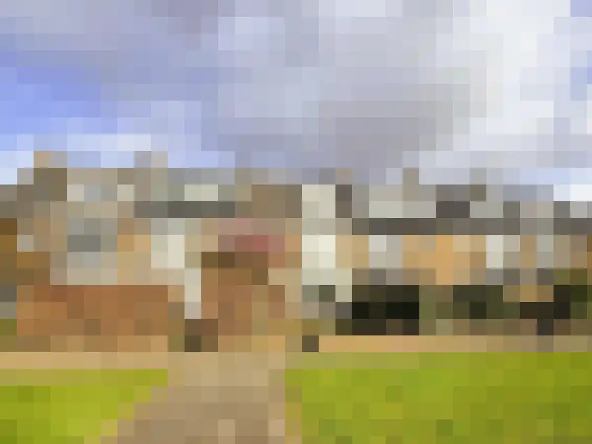 Pa Verkuijllaan in Badhoevedorp