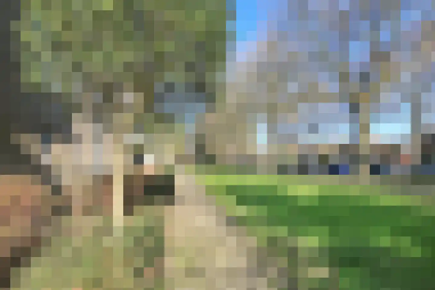 Pa Verkuijllaan 135 Badhoevedorp thumbnail 11
