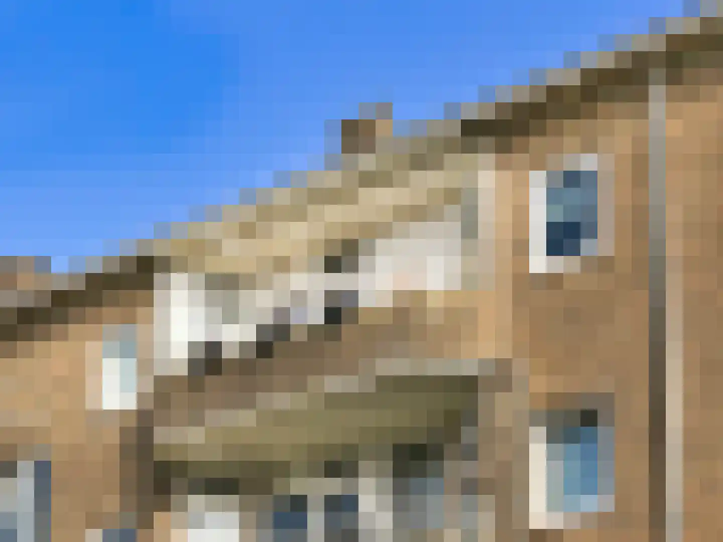 Pa Verkuijllaan 135 Badhoevedorp thumbnail 34
