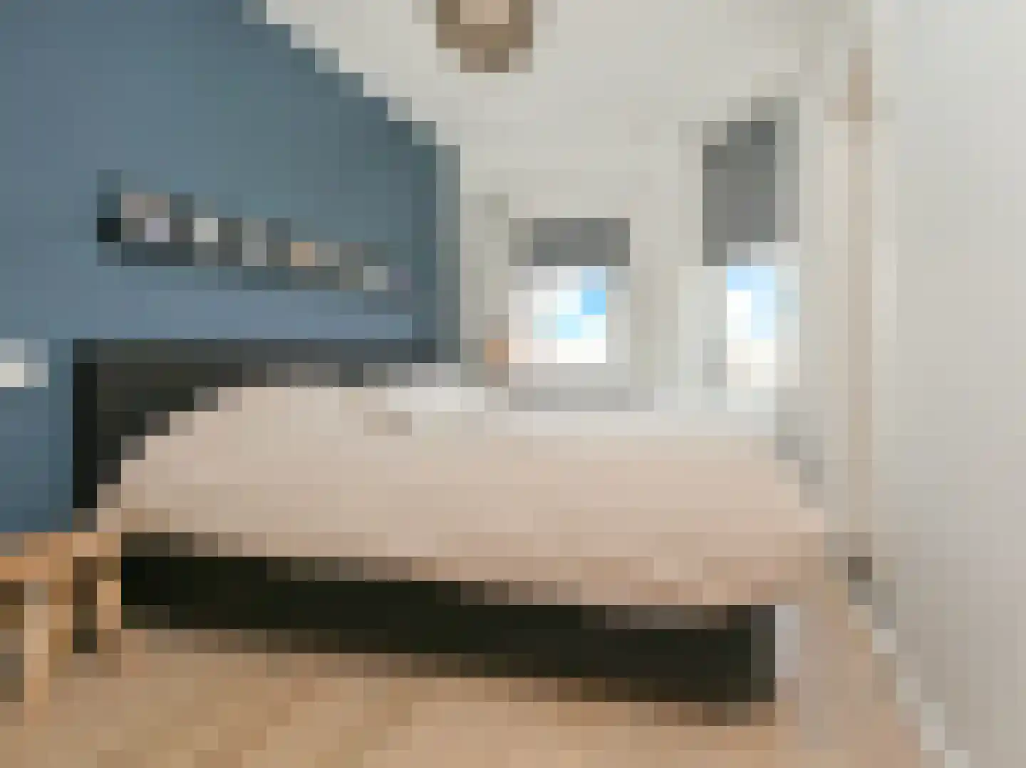 Pa Verkuijllaan 135 Badhoevedorp thumbnail 5