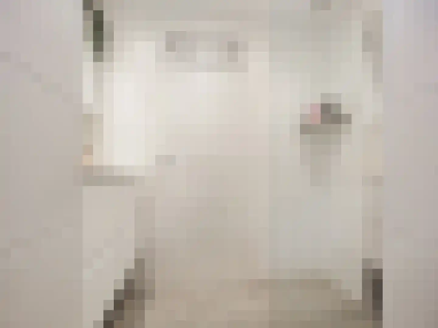 Pa Verkuijllaan 135 Badhoevedorp thumbnail 6