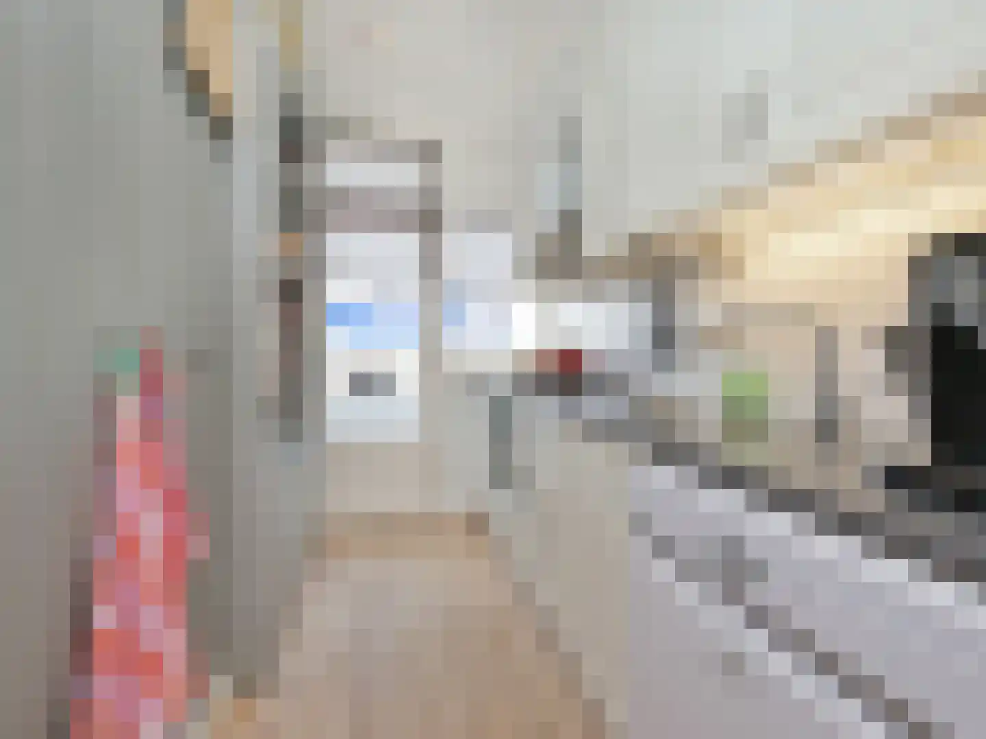 Pa Verkuijllaan 135 Badhoevedorp thumbnail 8
