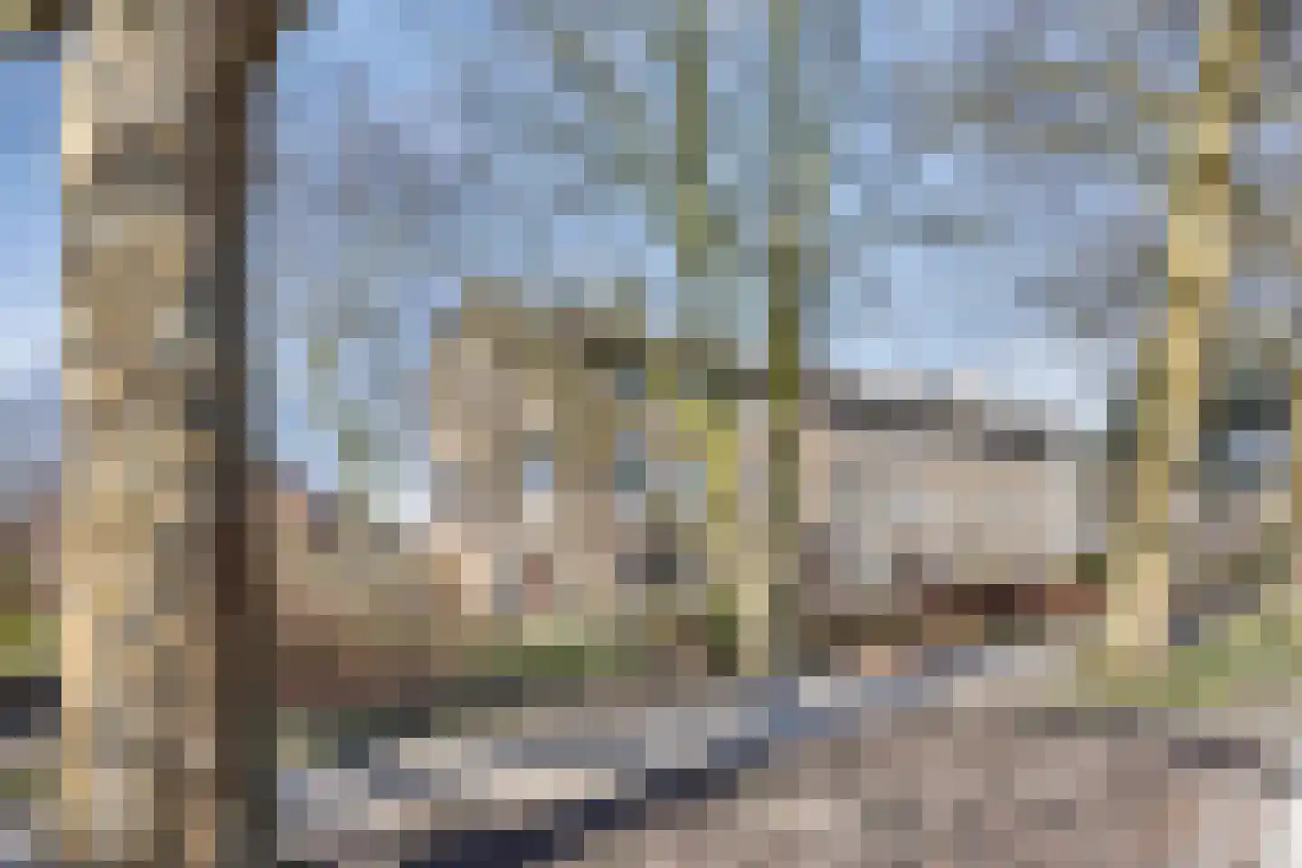 Pa Verkuijllaan 173 Badhoevedorp thumbnail 10