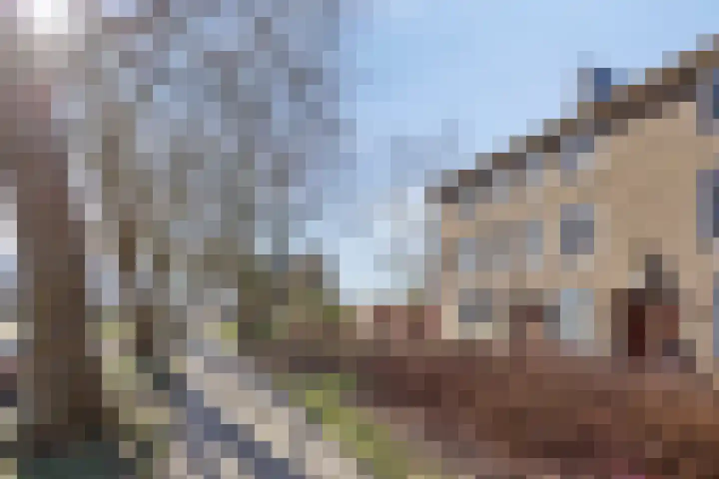 Pa Verkuijllaan 173 Badhoevedorp thumbnail 11