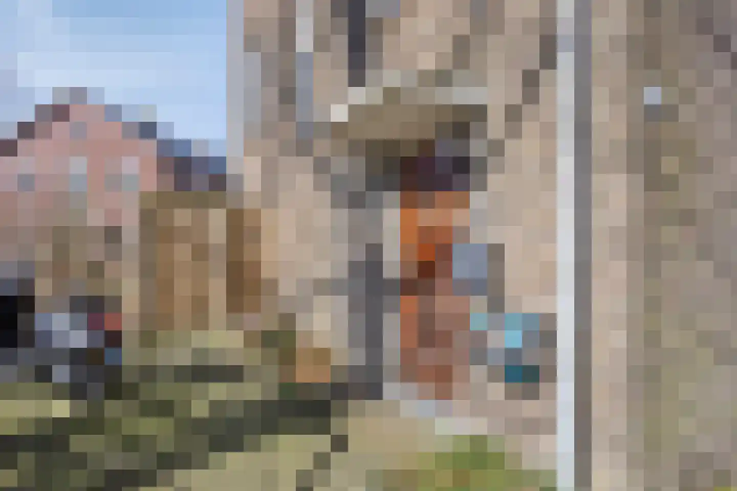Pa Verkuijllaan 173 Badhoevedorp thumbnail 13