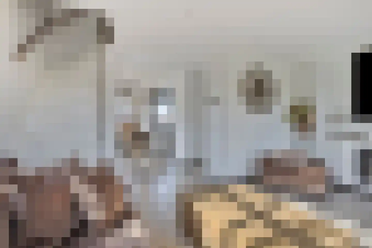 Pa Verkuijllaan 173 Badhoevedorp thumbnail 21