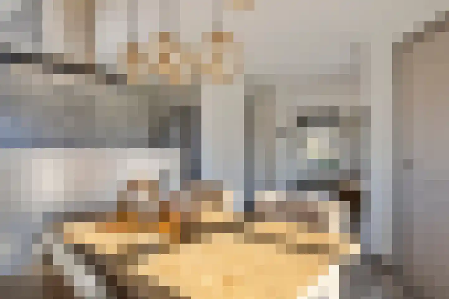 Pa Verkuijllaan 173 Badhoevedorp thumbnail 23