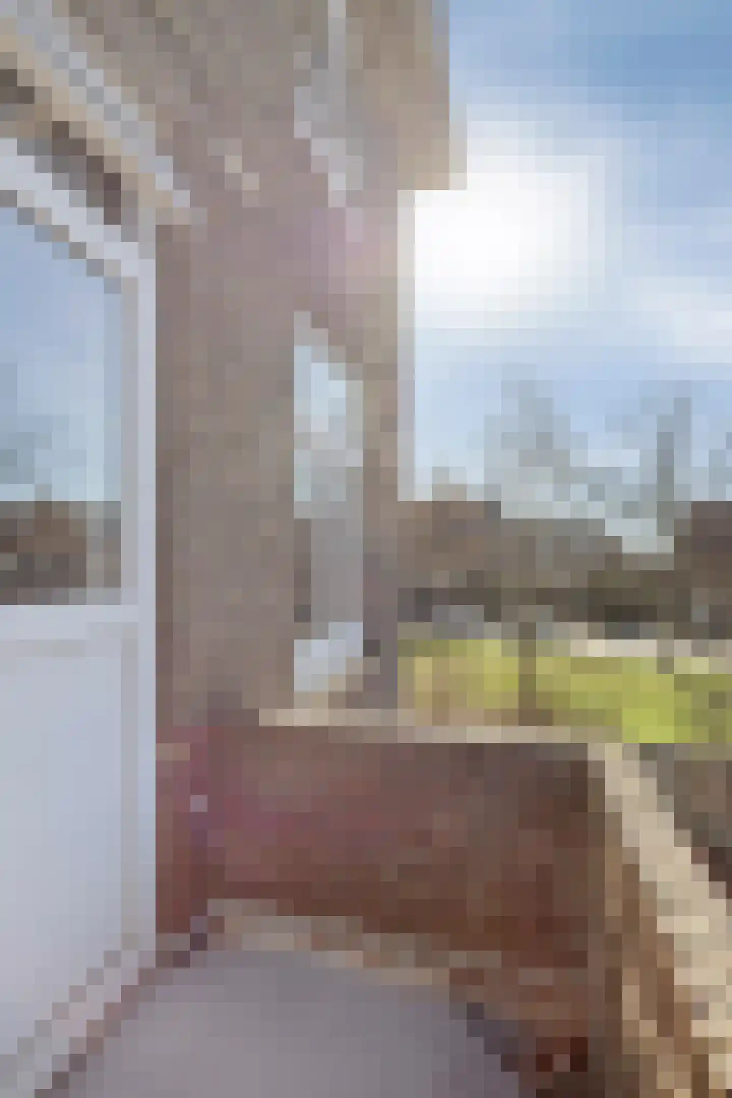 Pa Verkuijllaan 173 Badhoevedorp thumbnail 31