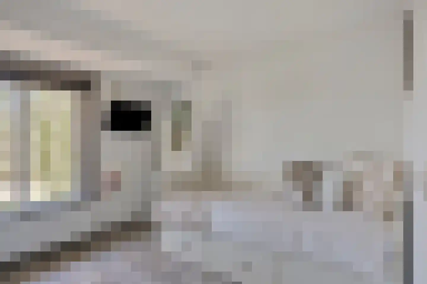 Pa Verkuijllaan 173 Badhoevedorp thumbnail 32