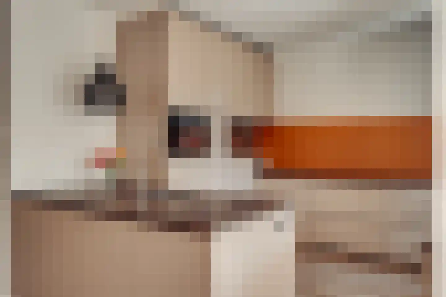 Pa Verkuijllaan 34 Badhoevedorp thumbnail 14