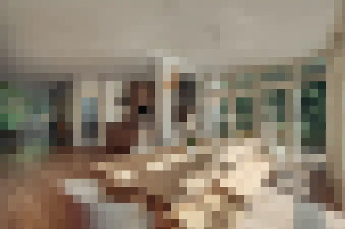 Pa Verkuijllaan 34 Badhoevedorp thumbnail 16