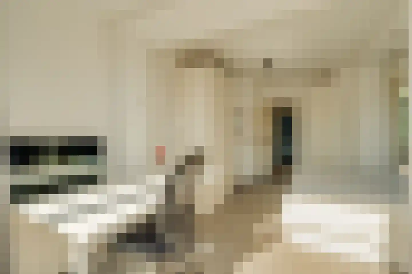 Pa Verkuijllaan 34 Badhoevedorp thumbnail 21