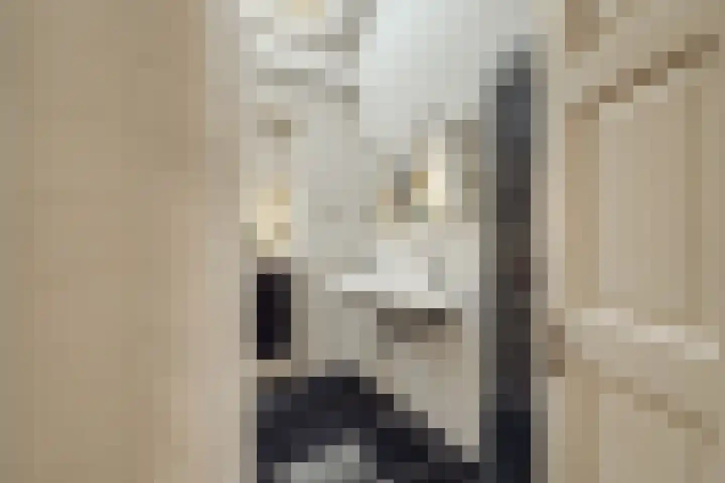Pa Verkuijllaan 34 Badhoevedorp thumbnail 27