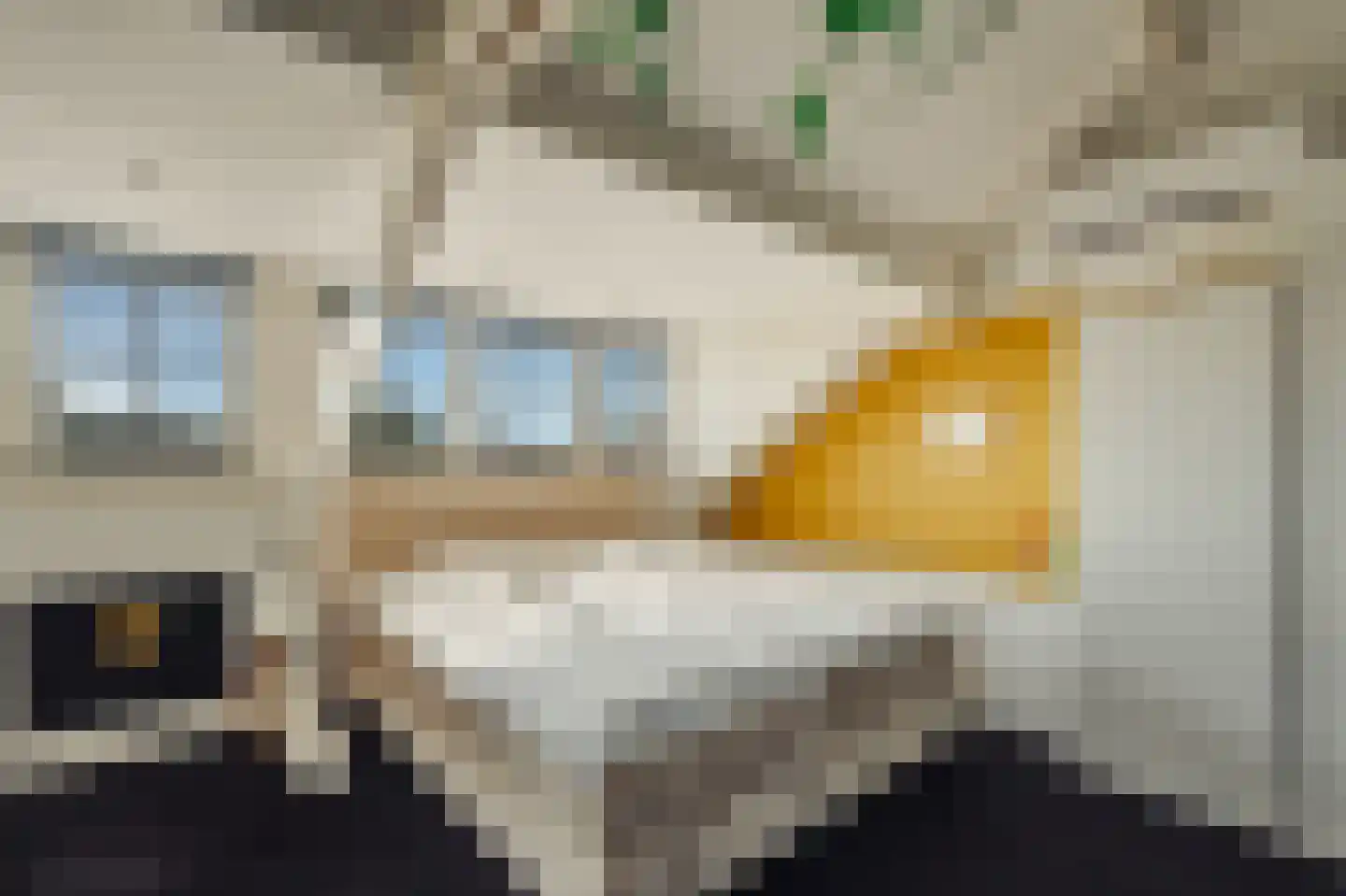 Pa Verkuijllaan 34 Badhoevedorp thumbnail 29