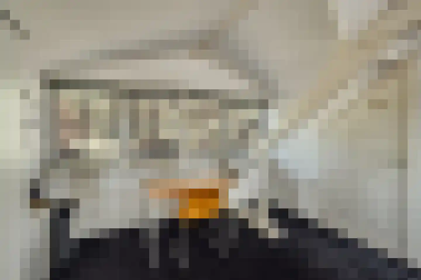 Pa Verkuijllaan 34 Badhoevedorp thumbnail 34