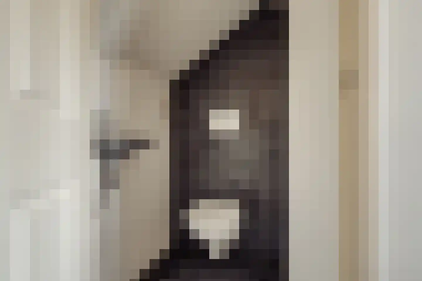 Pa Verkuijllaan 34 Badhoevedorp thumbnail 35
