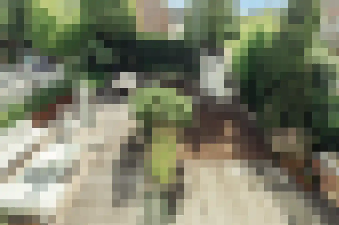Pa Verkuijllaan 34 Badhoevedorp thumbnail 36