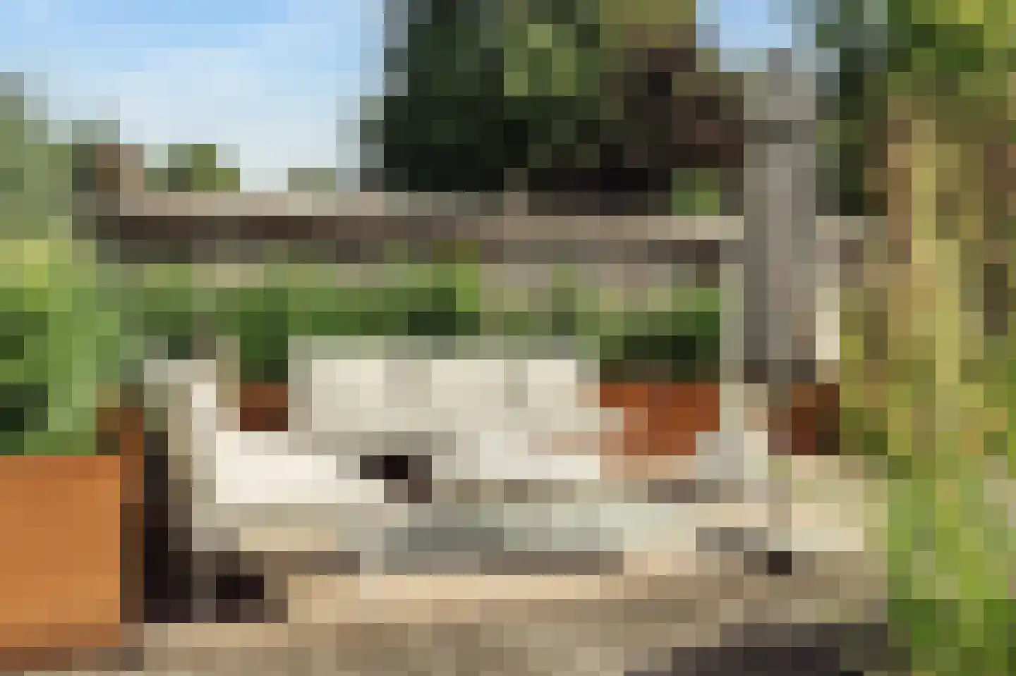 Pa Verkuijllaan 34 Badhoevedorp thumbnail 39